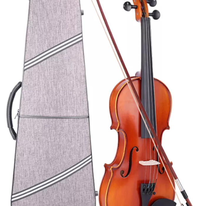 Picaldi VG210H 4/4 Tam Boy Keman | İleri Seviye Öğrenci Kemanı Zengin Harmonikler ve Akıcı Perde Geçişleri